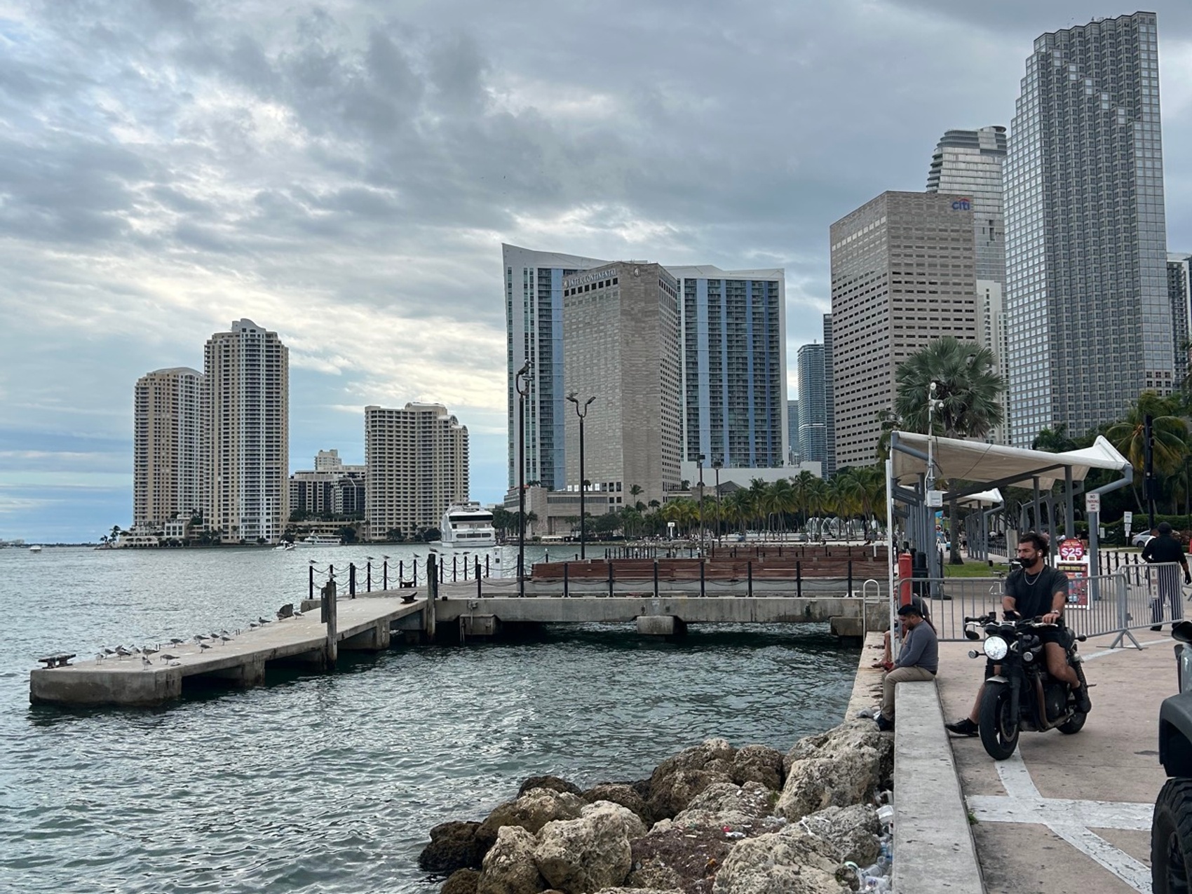 kacper michalik : 343