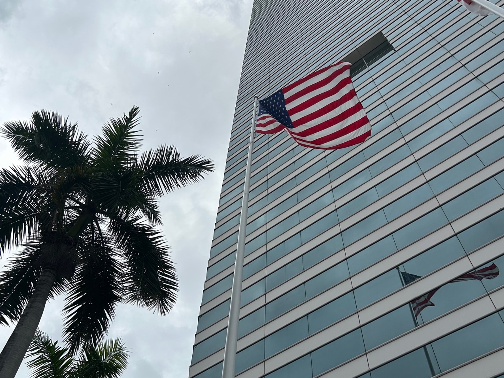 kacper michalik : 334