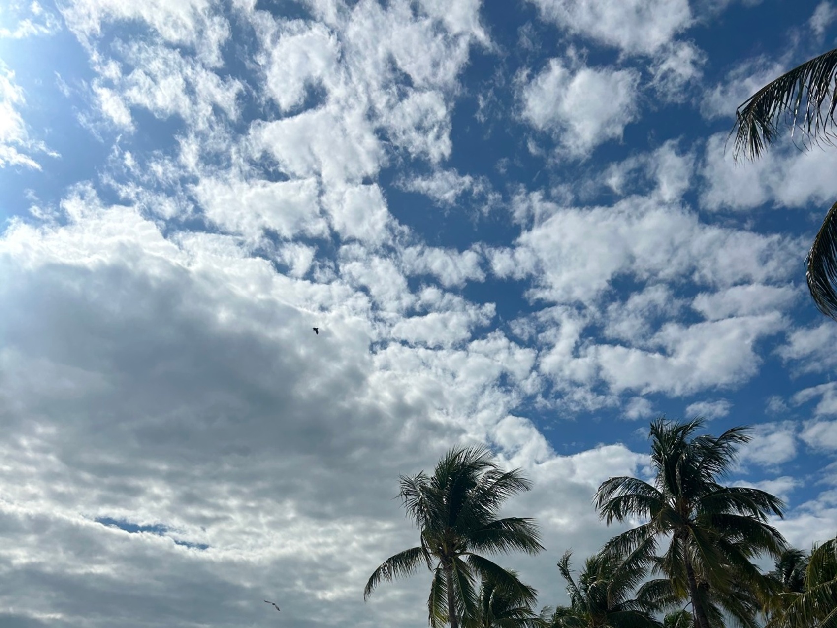 kacper michalik : 316