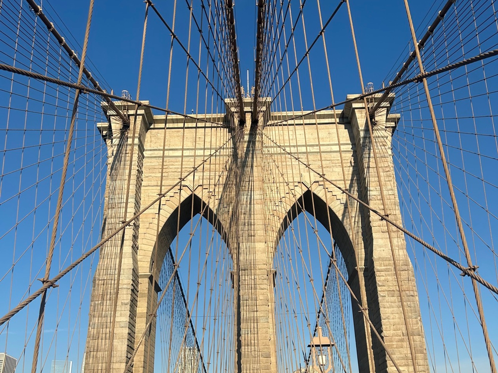 kacper michalik : 513