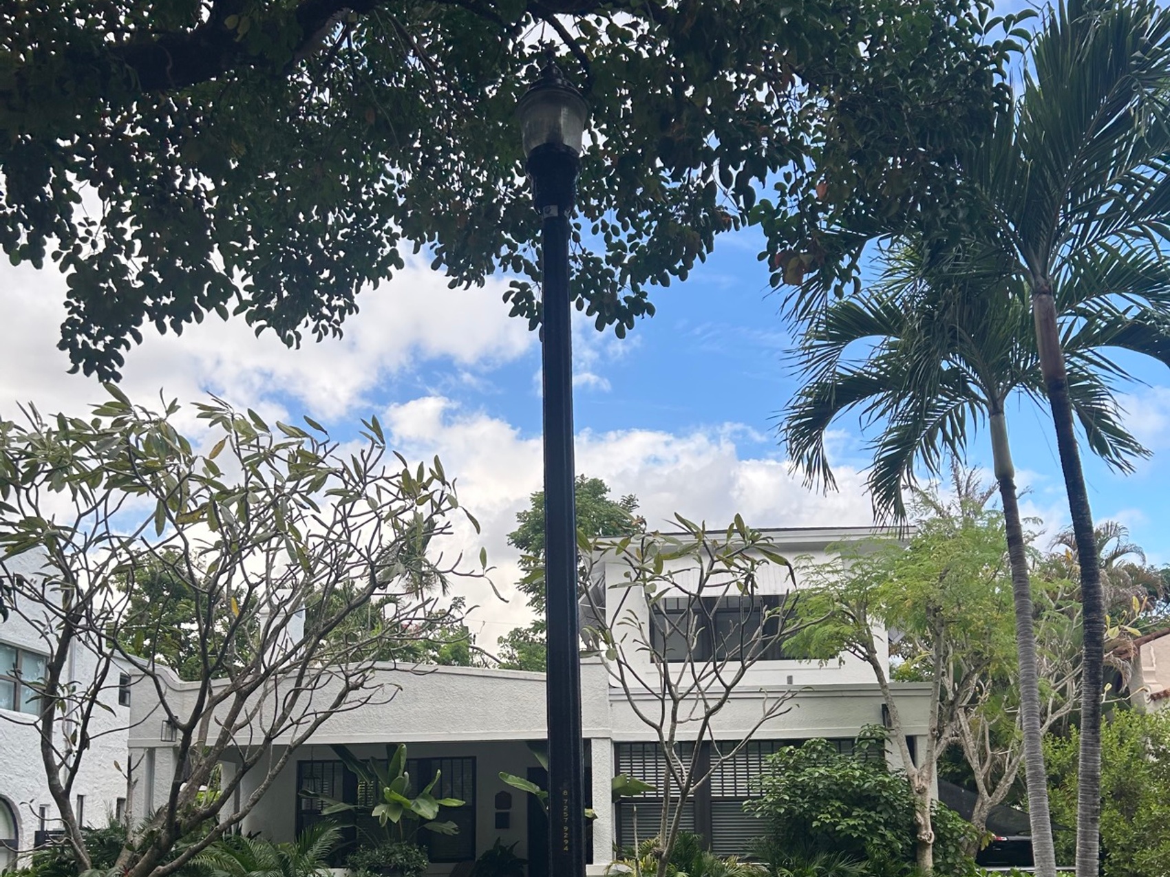 kacper michalik : 398