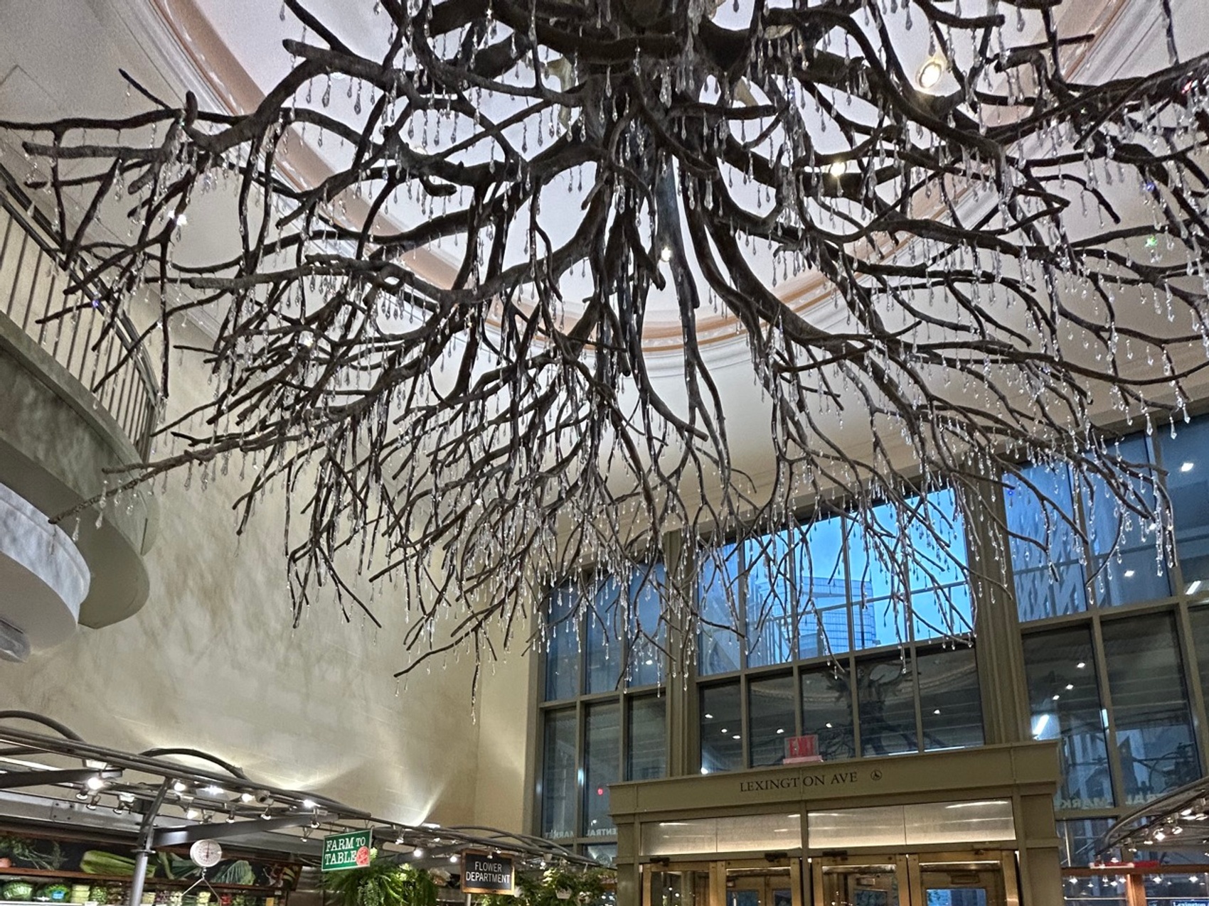 kacper michalik : 533