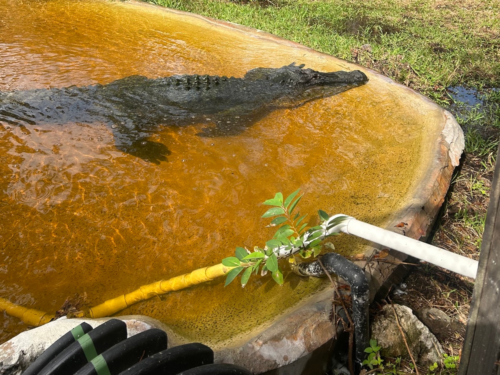 kacper michalik : 376