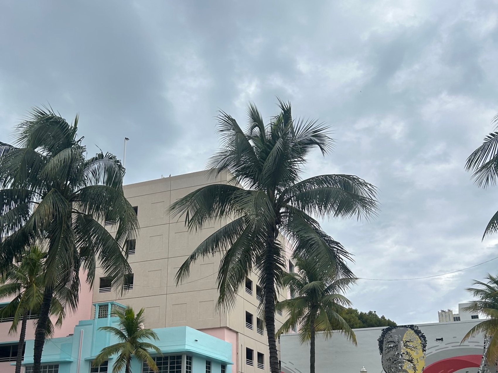 kacper michalik : 308