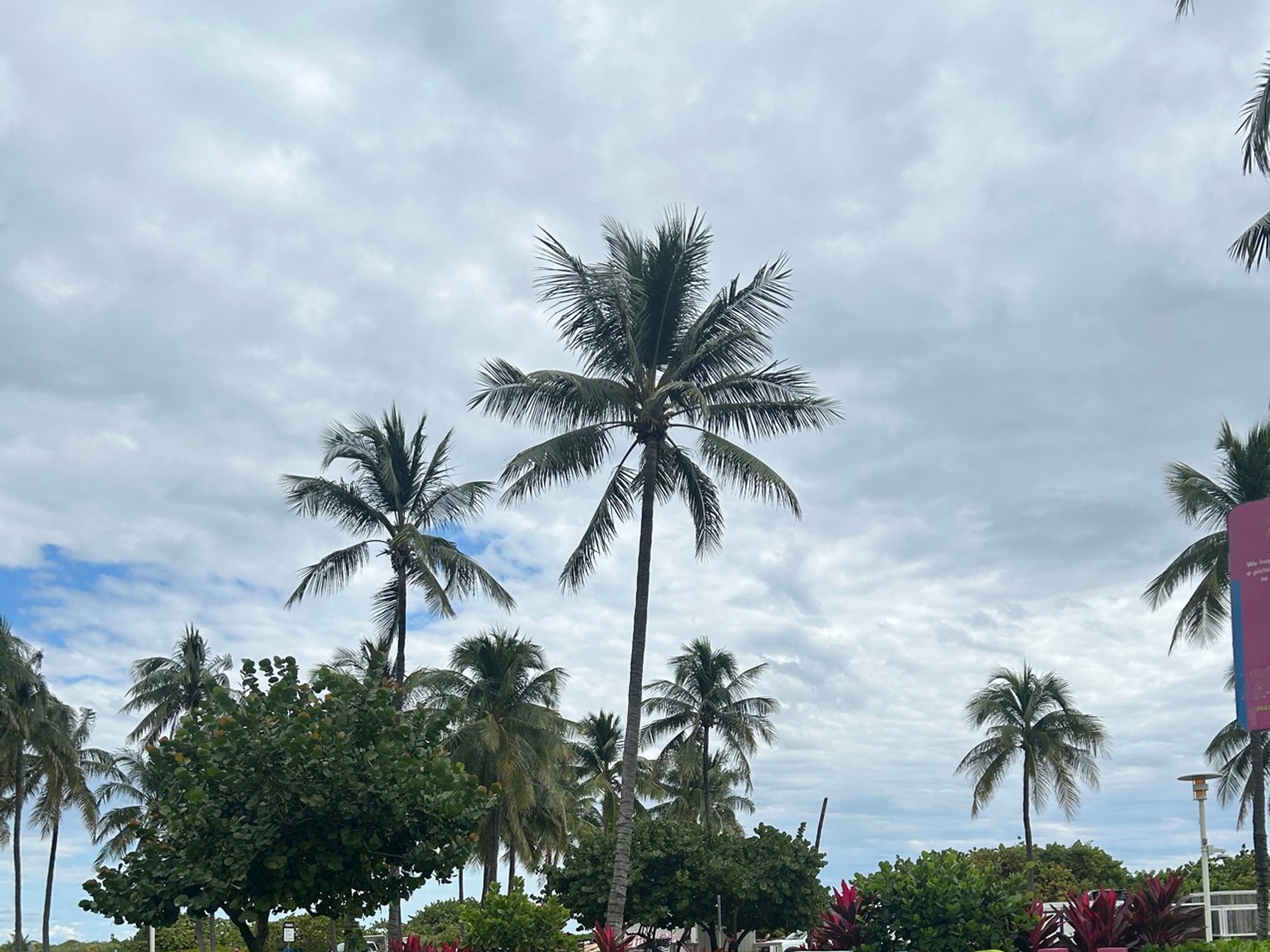 kacper michalik : 329