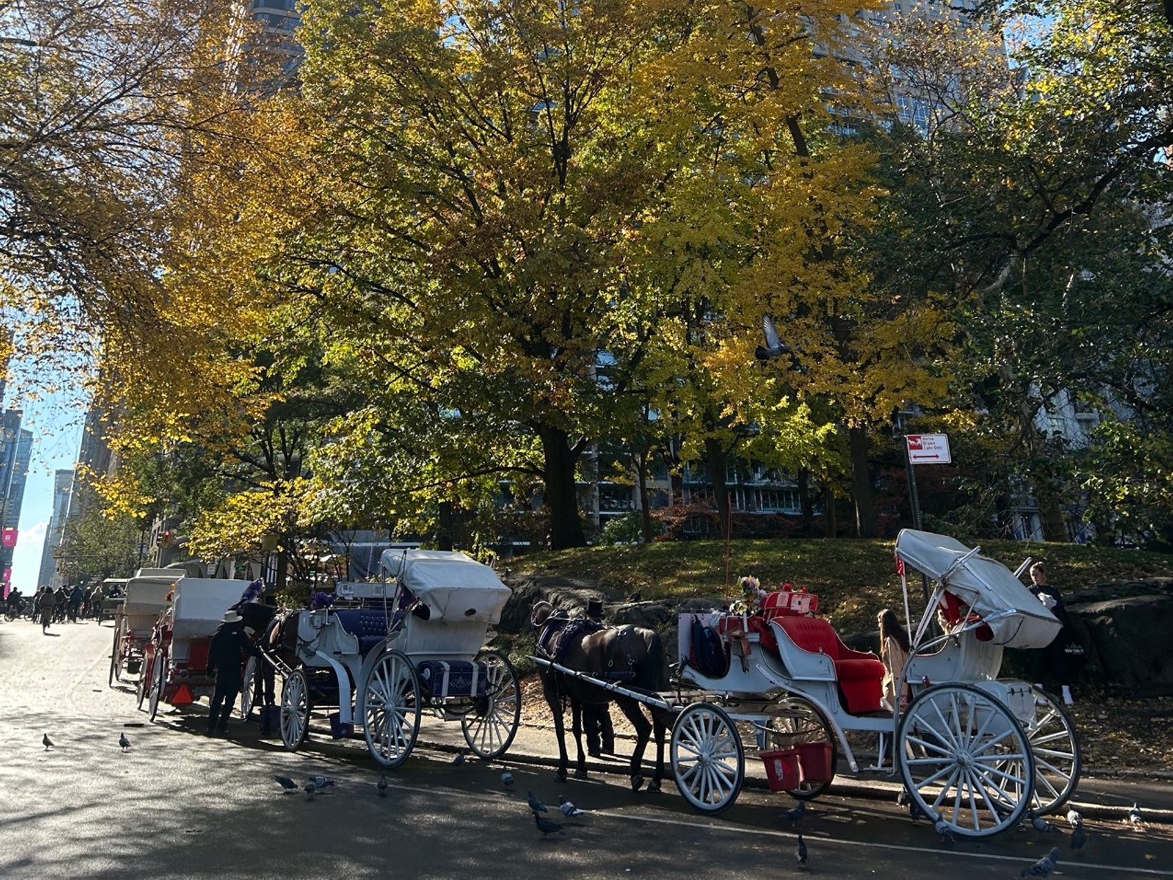 kacper michalik : 493