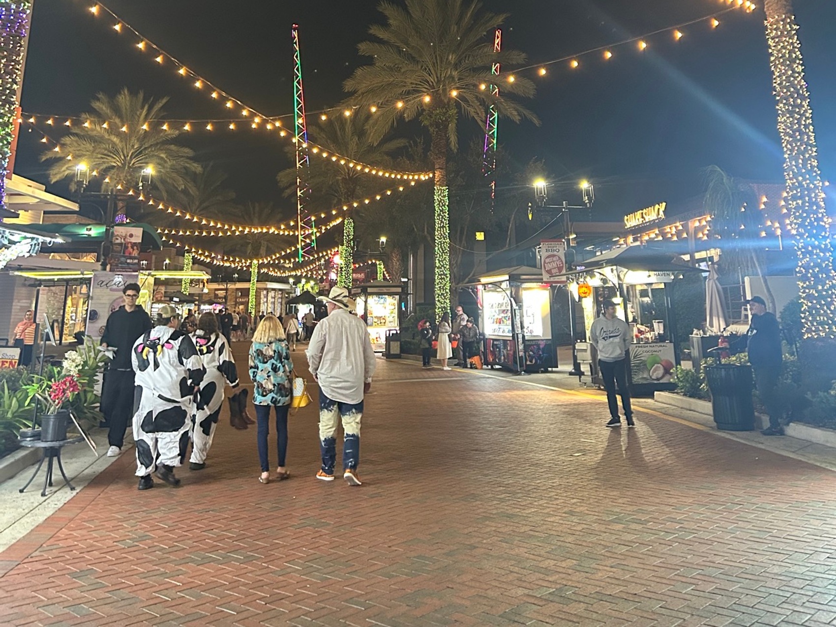 kacper michalik : 245