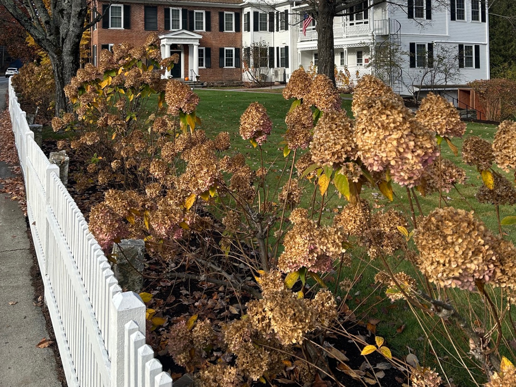 kacper michalik : 67