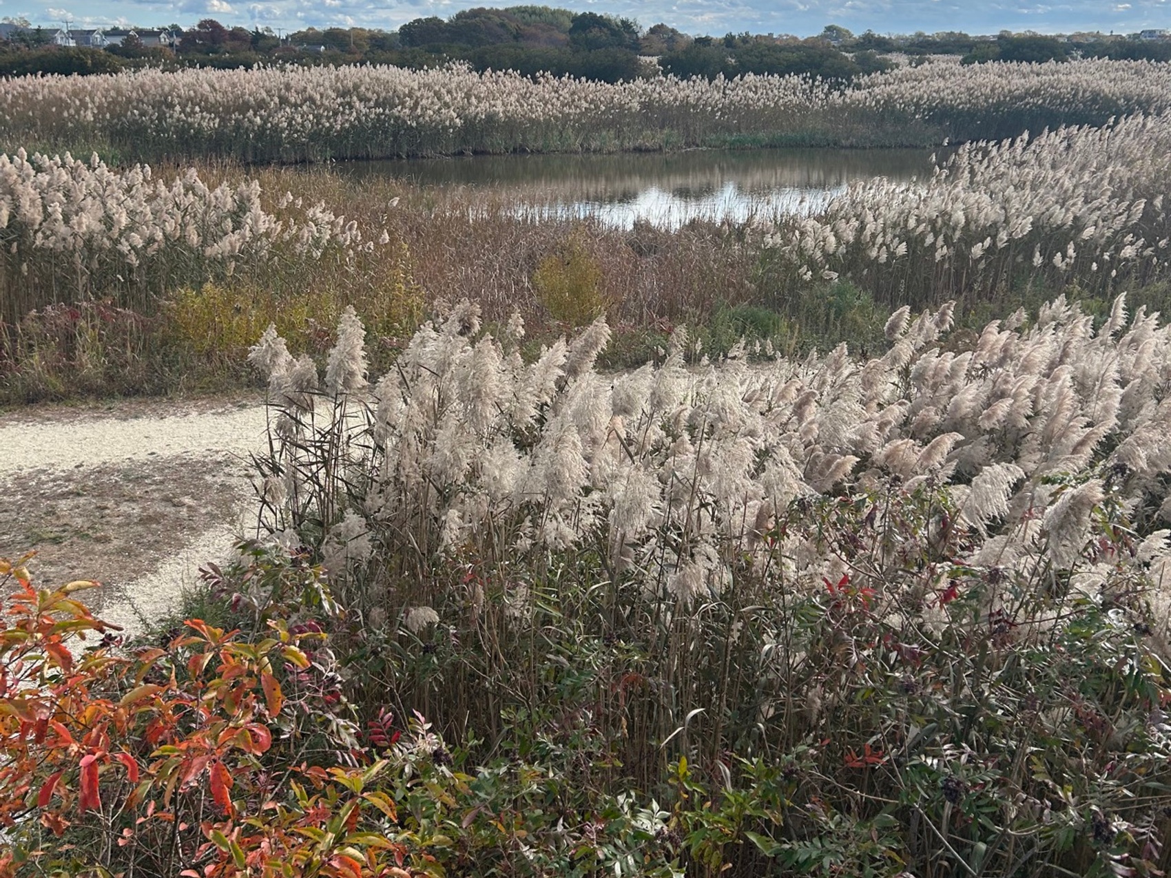 kacper michalik : 120