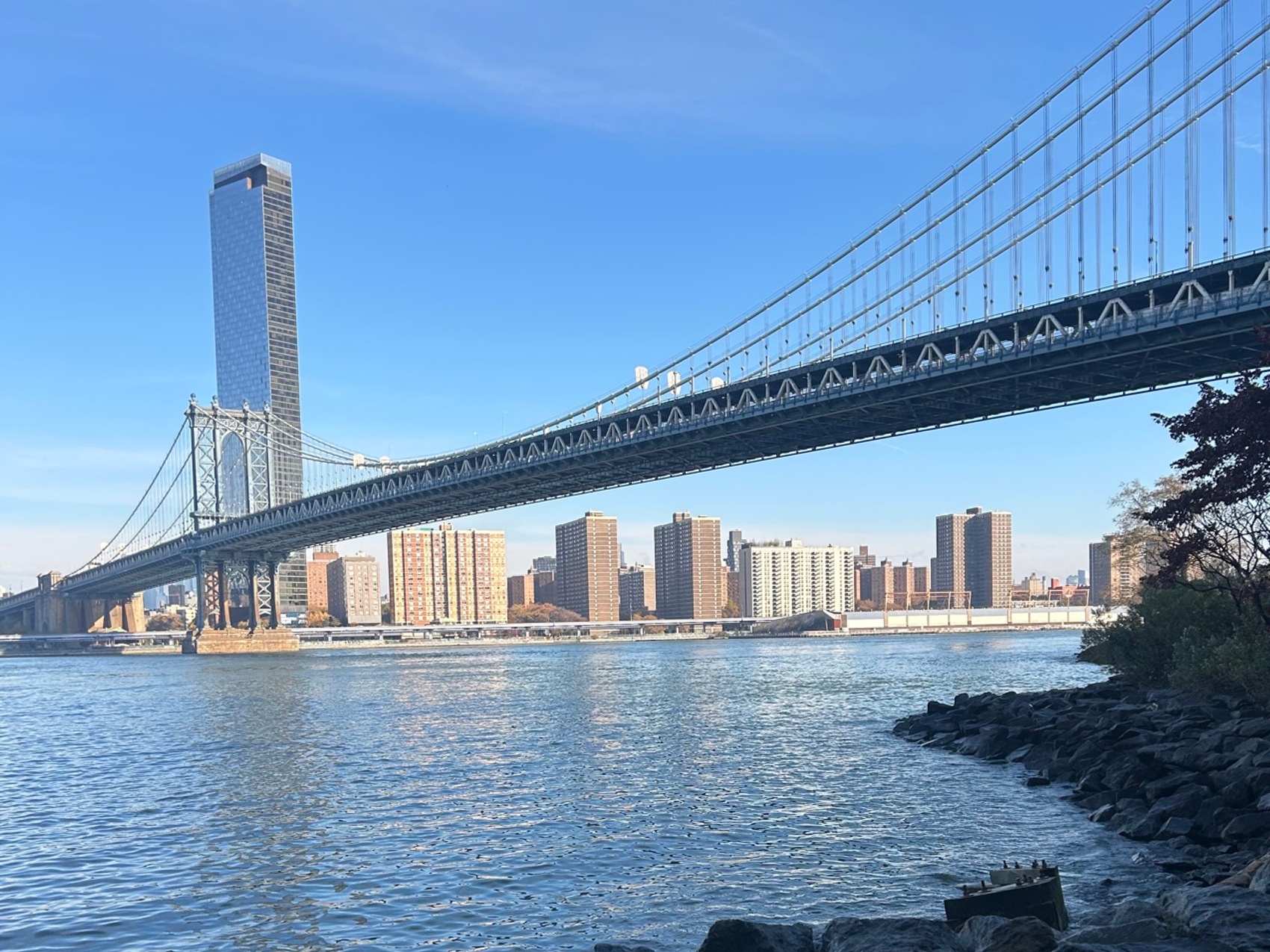 kacper michalik : 517