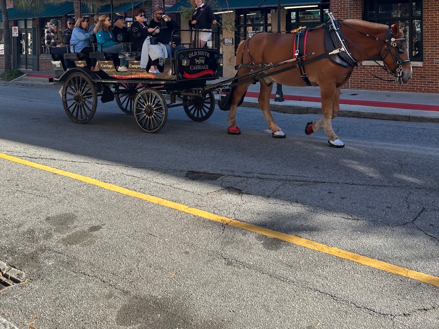 kacper michalik : 182