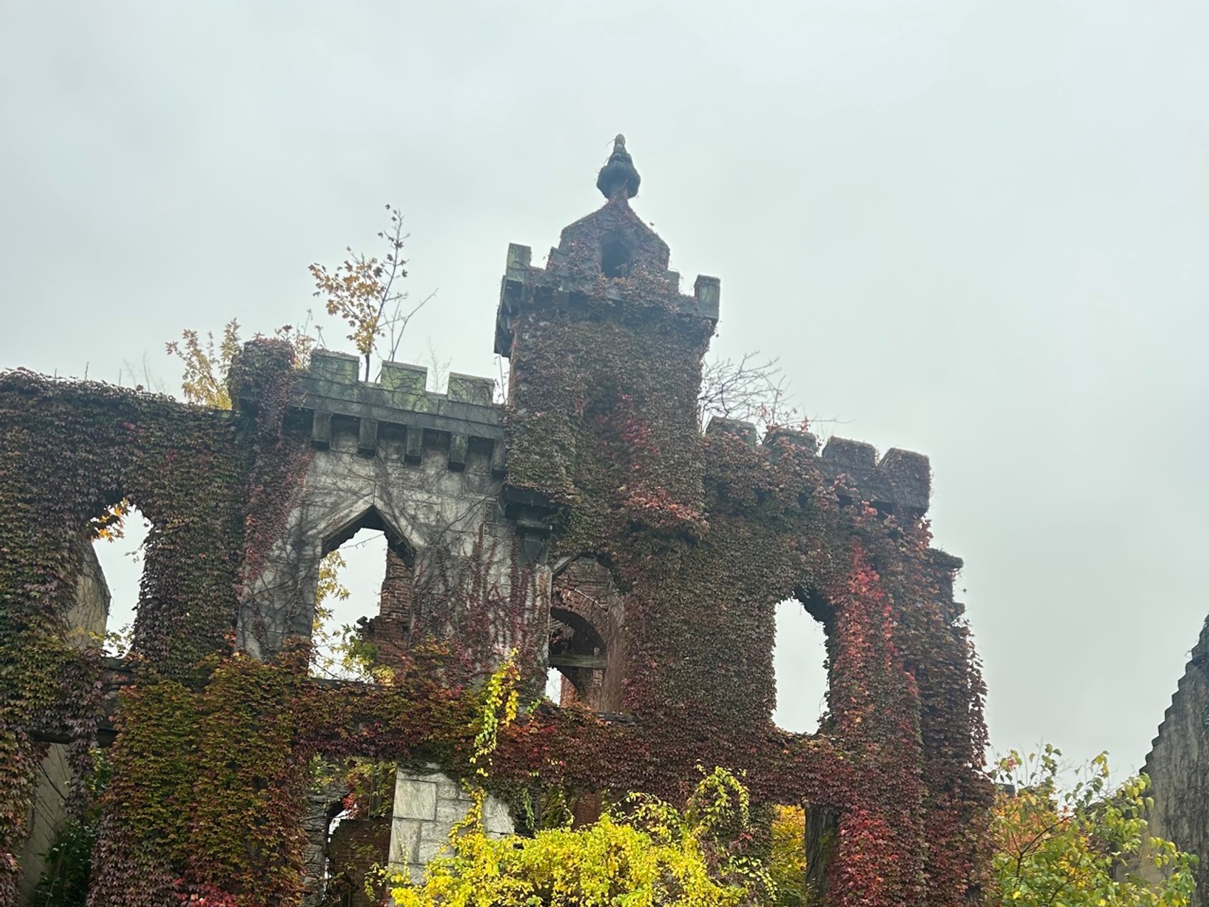 kacper michalik : 553