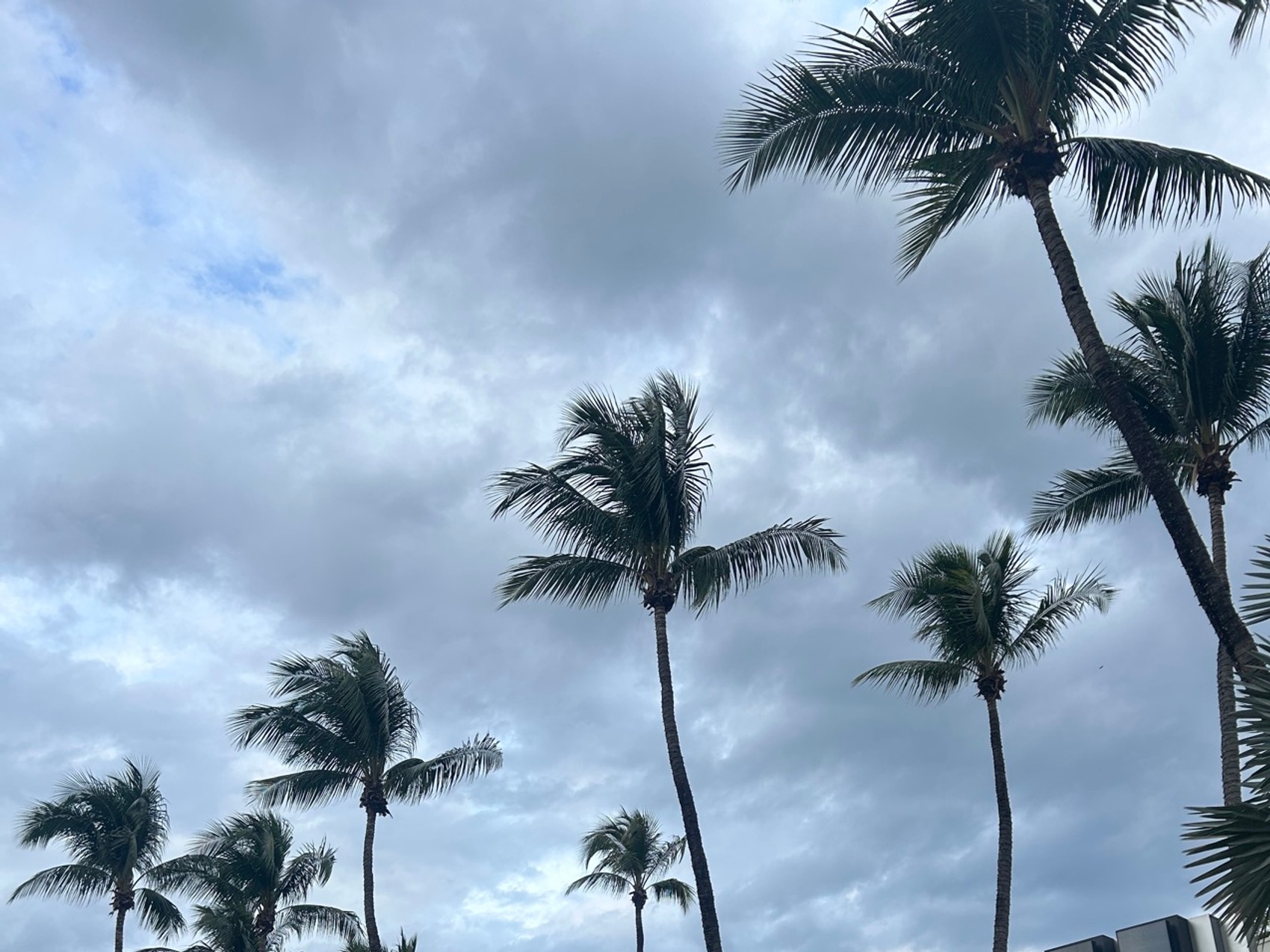 kacper michalik : 351