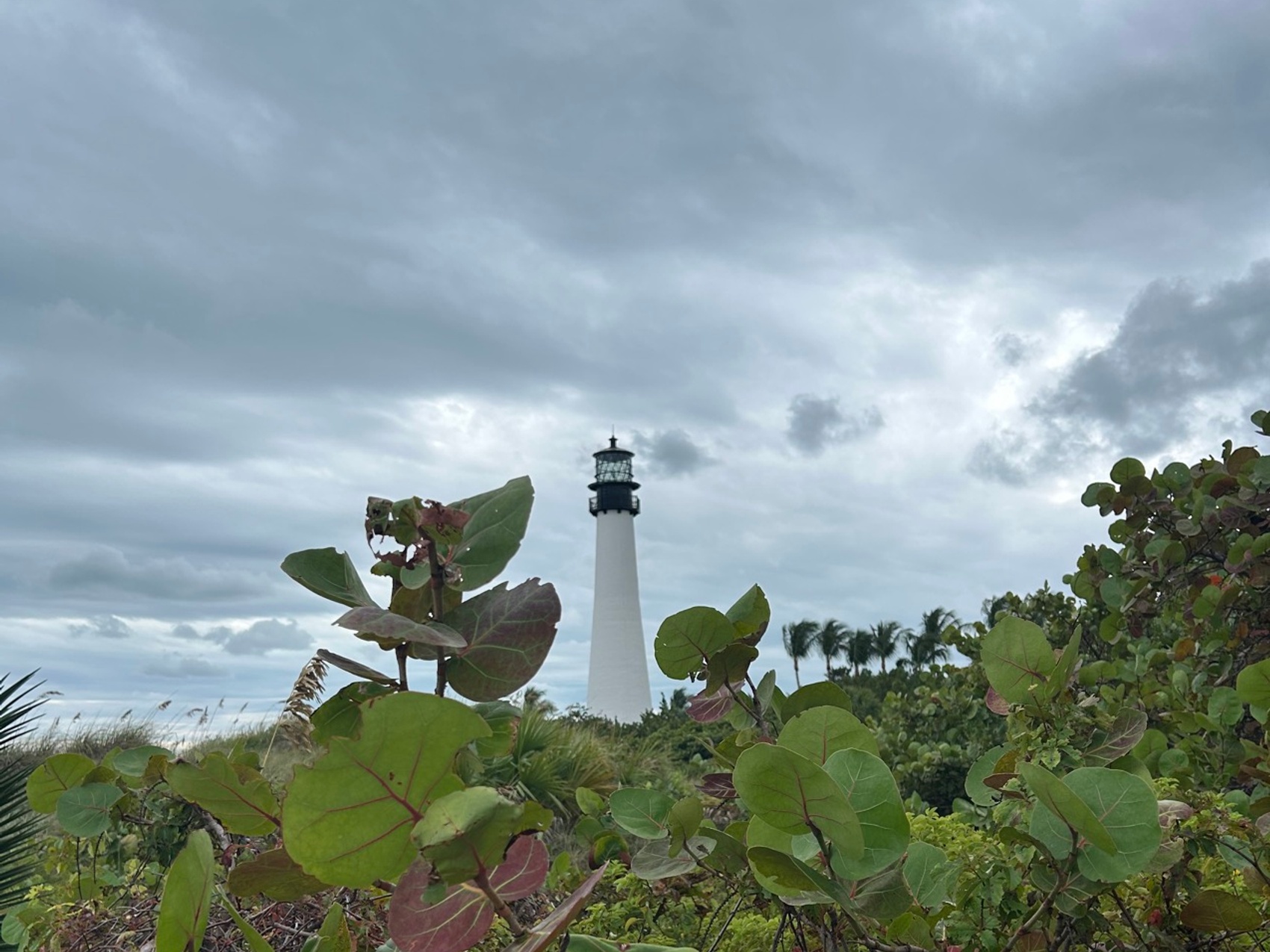 kacper michalik : 332