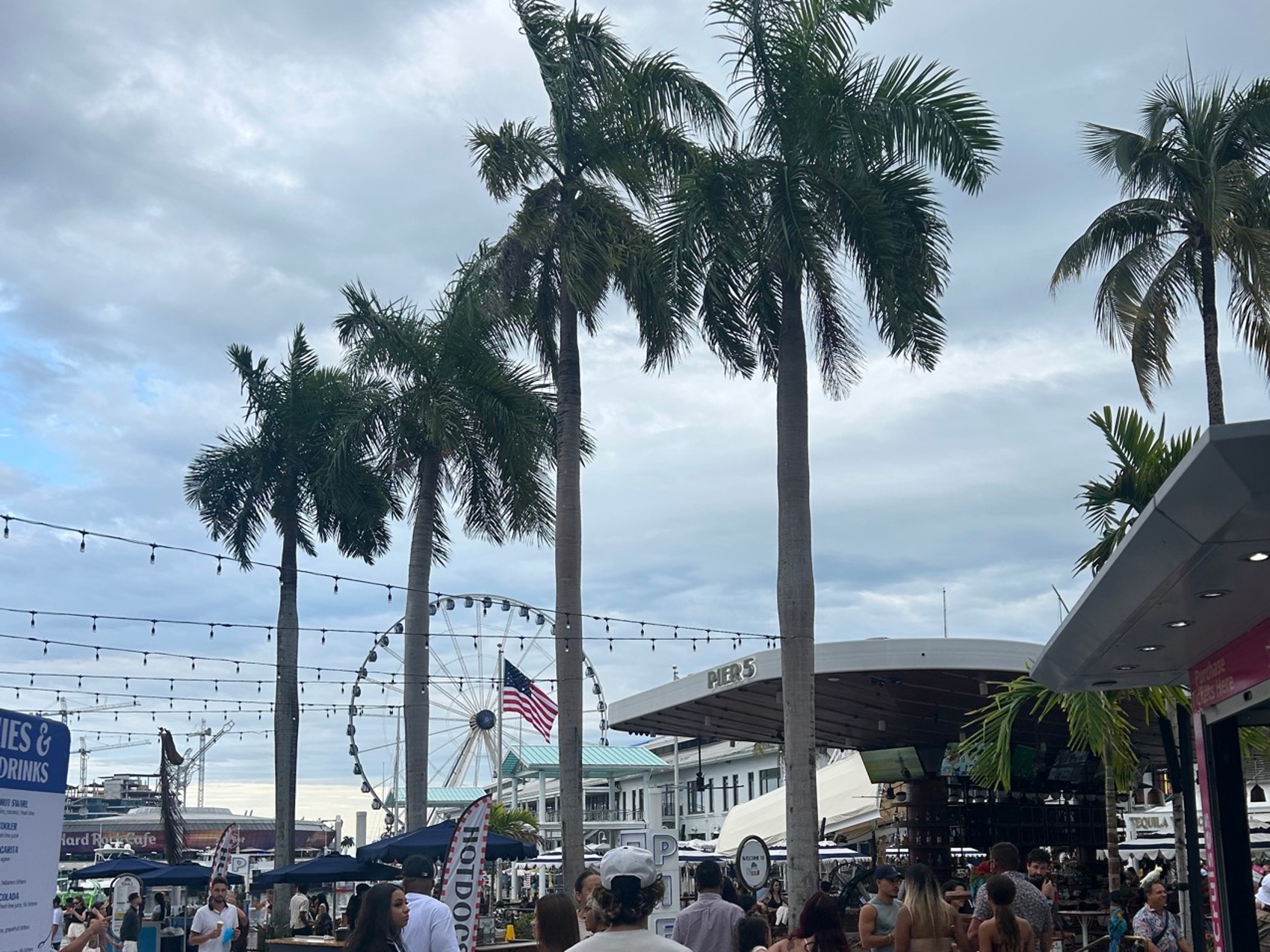 kacper michalik : 347