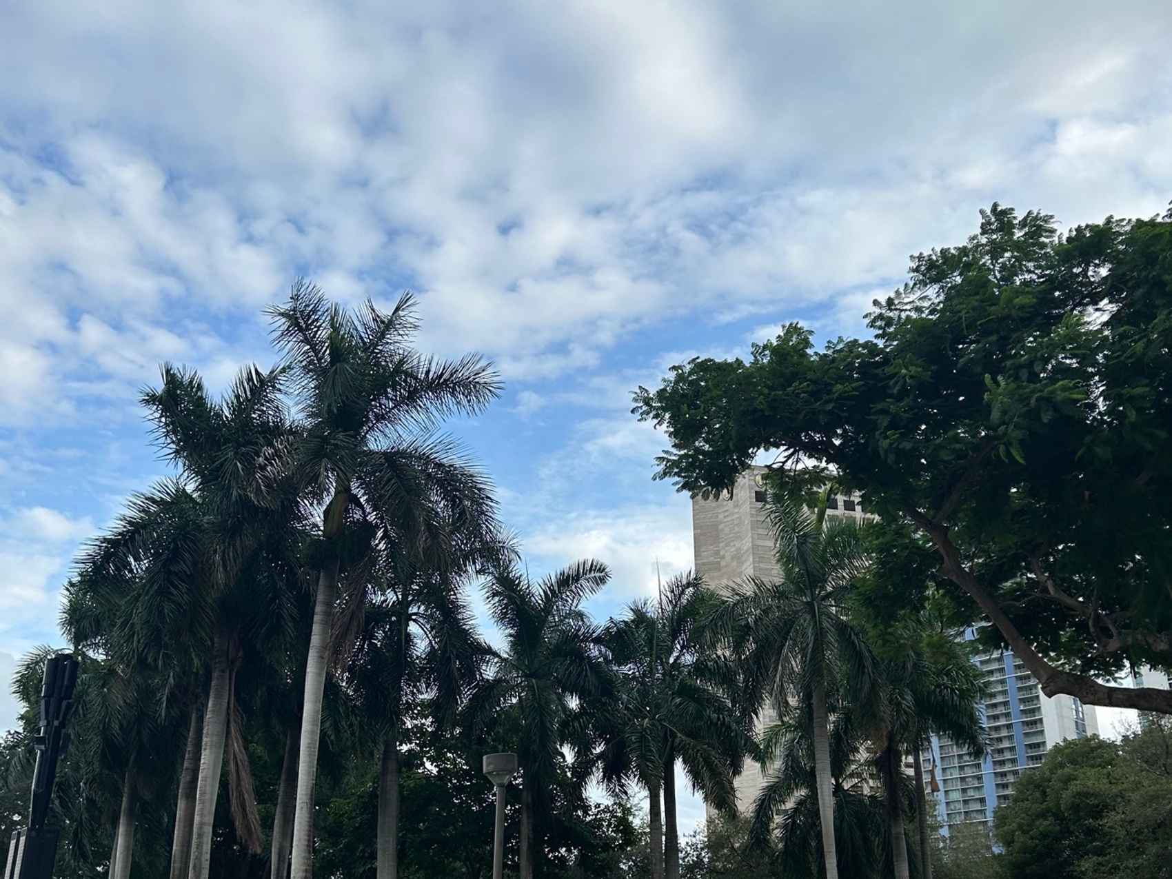 kacper michalik : 340