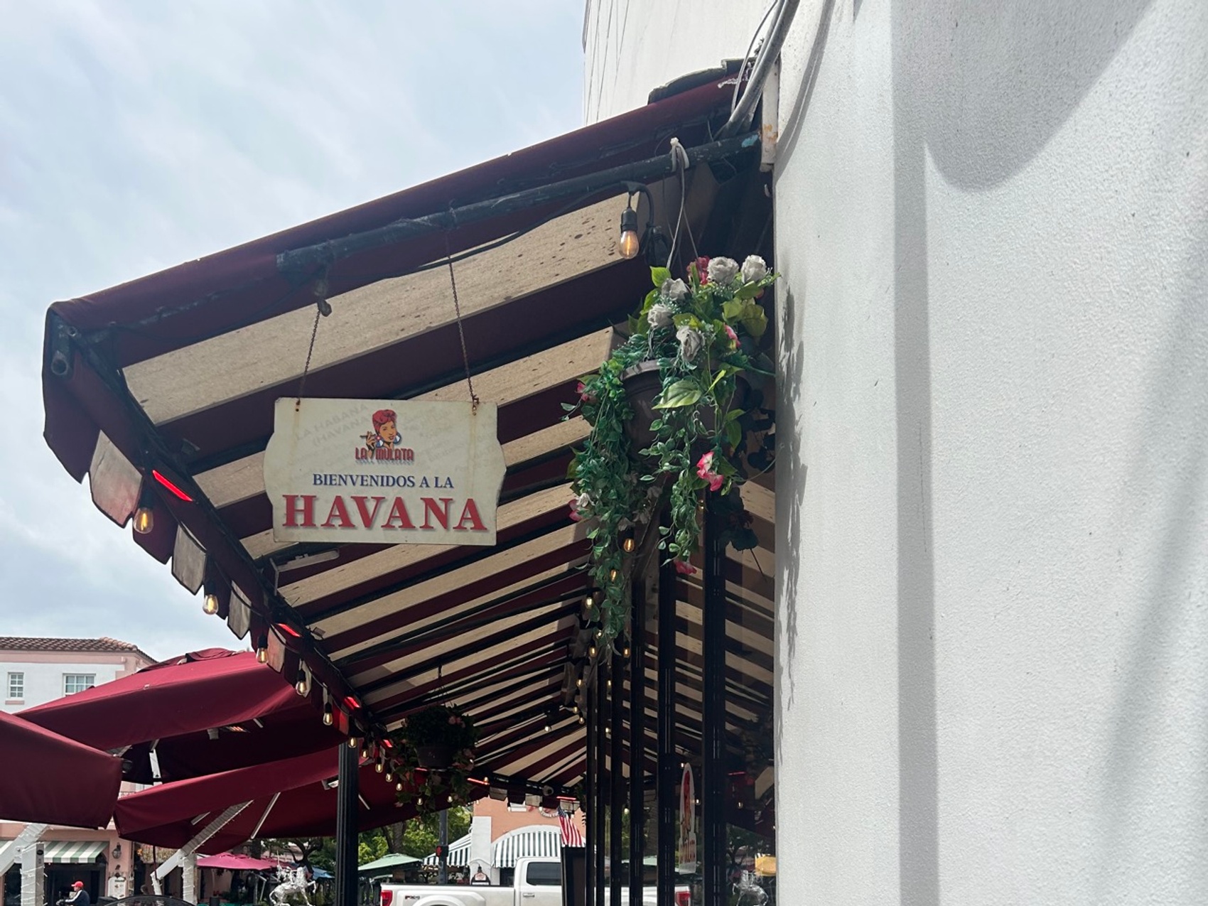 kacper michalik : 363