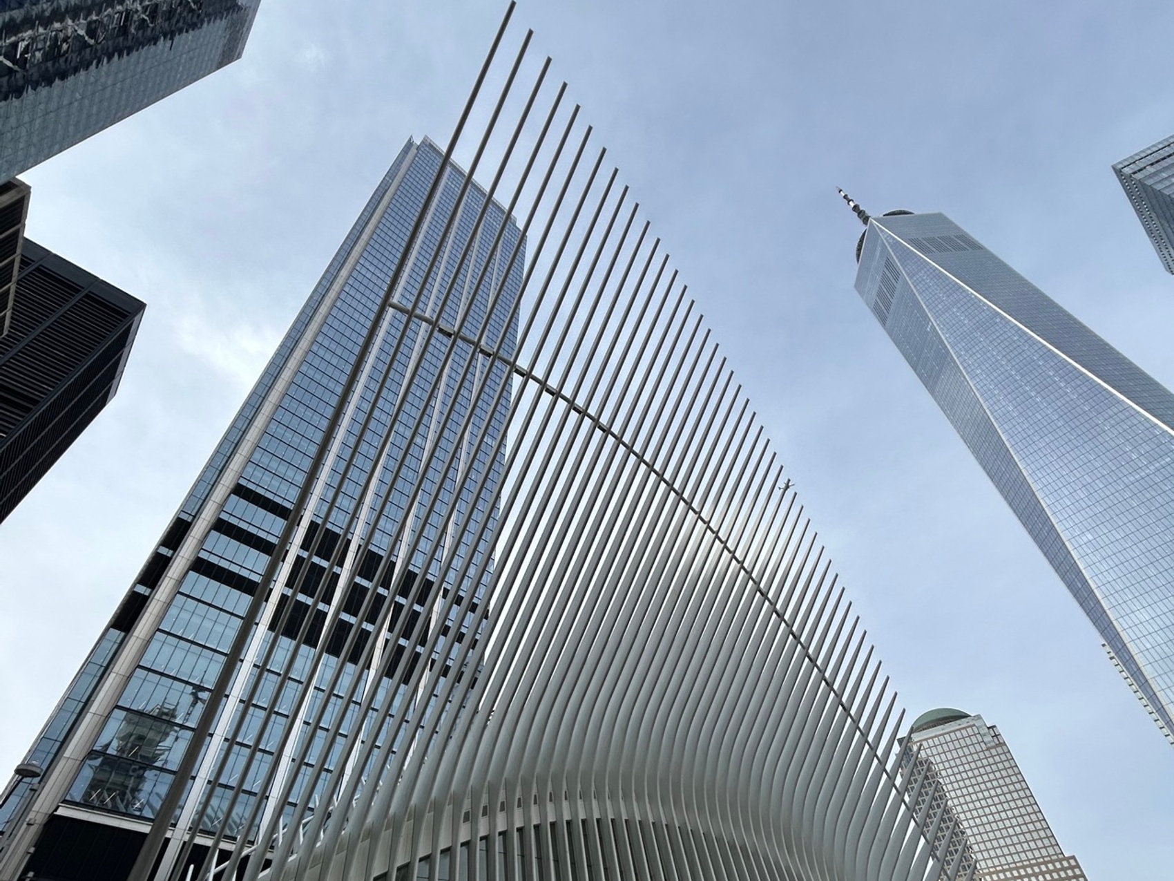 kacper michalik : 447