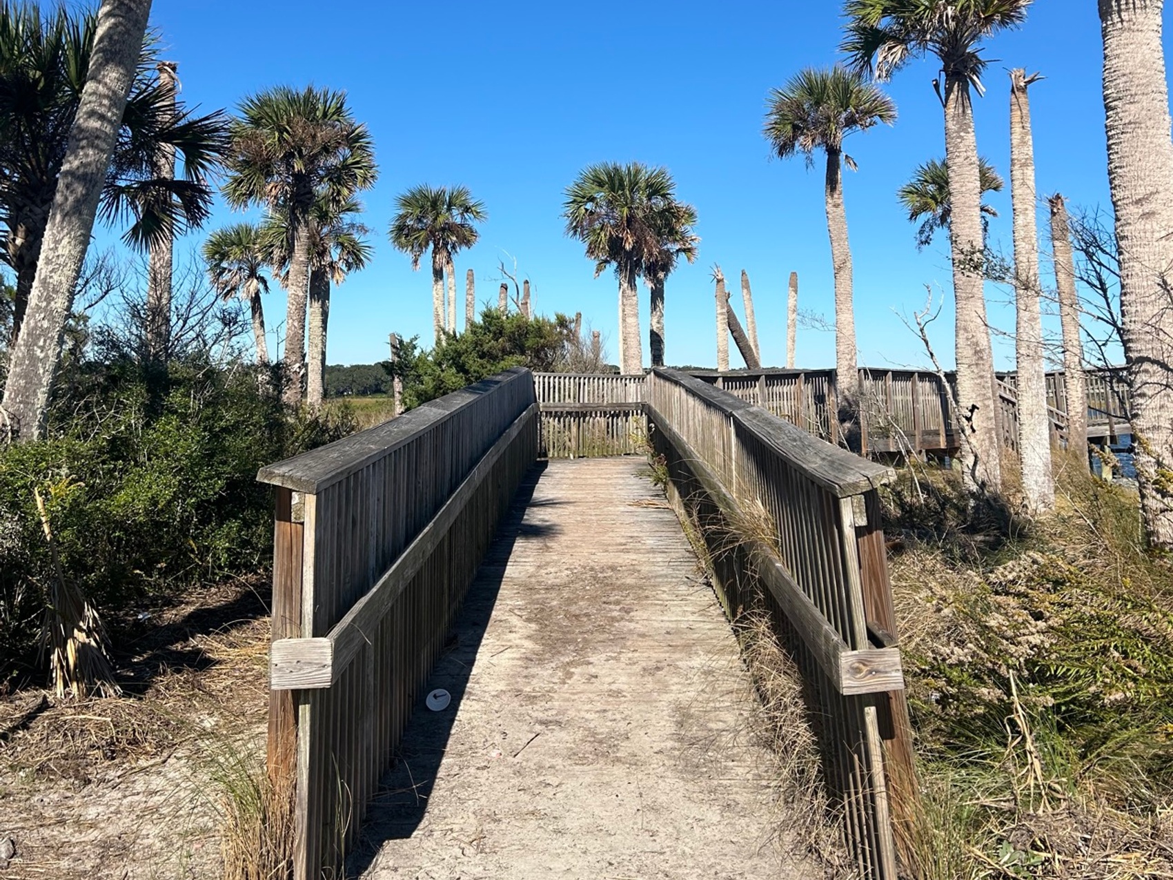 kacper michalik : 217