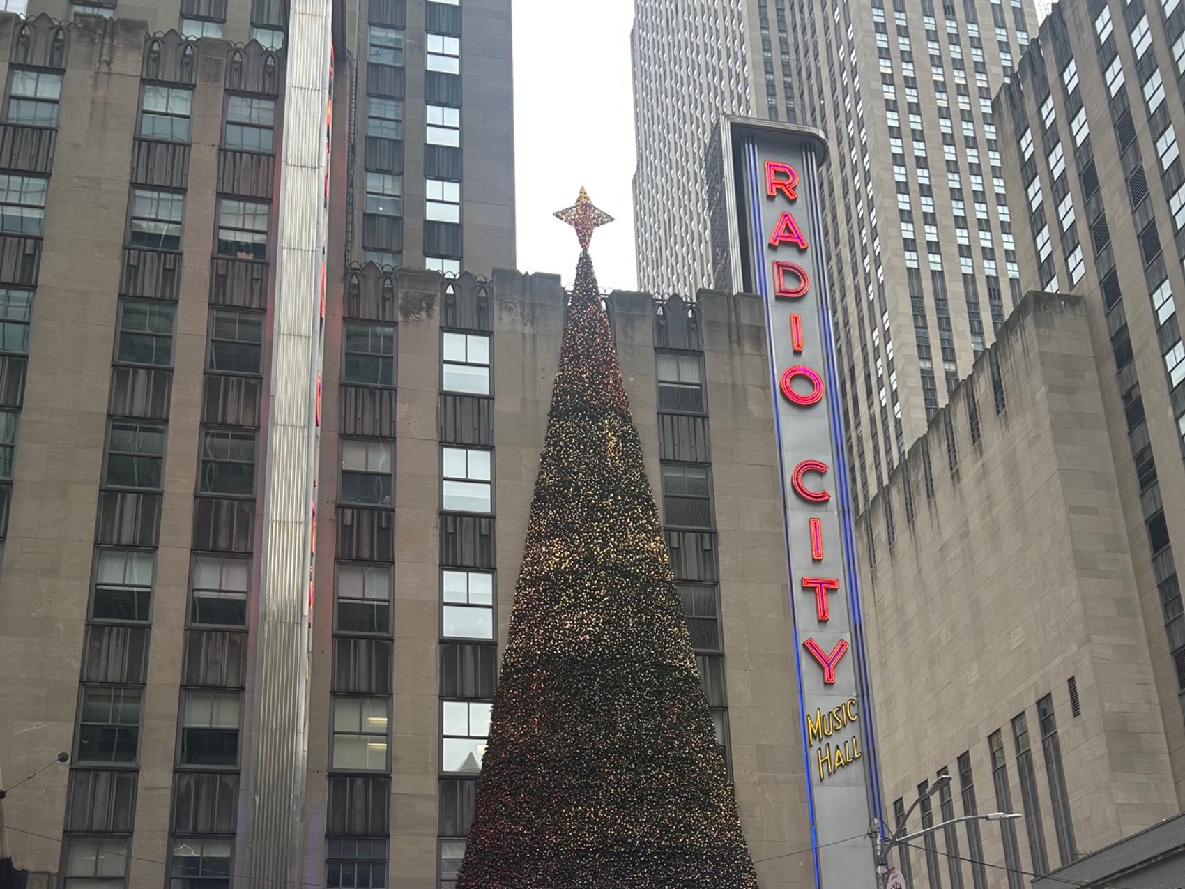 kacper michalik : 525