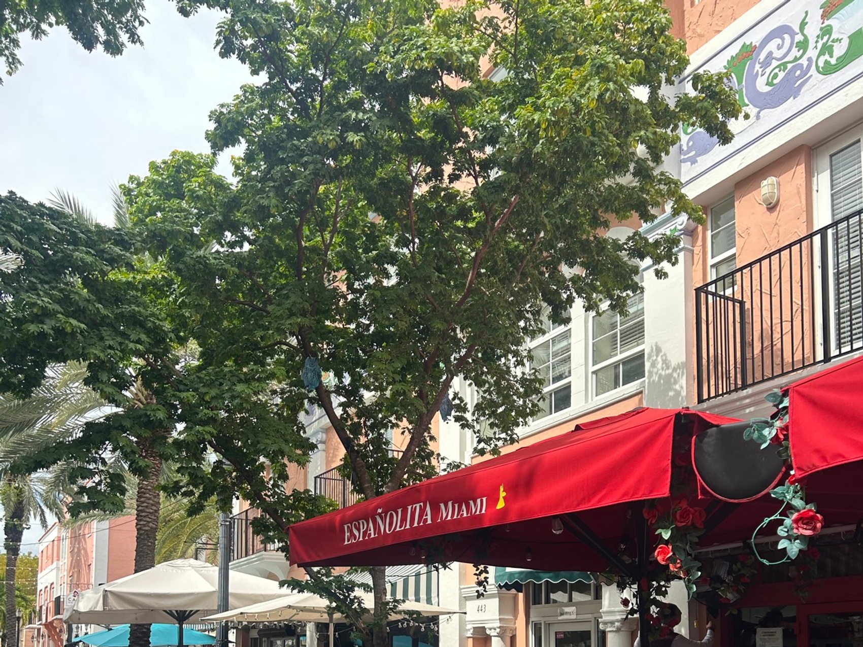 kacper michalik : 365