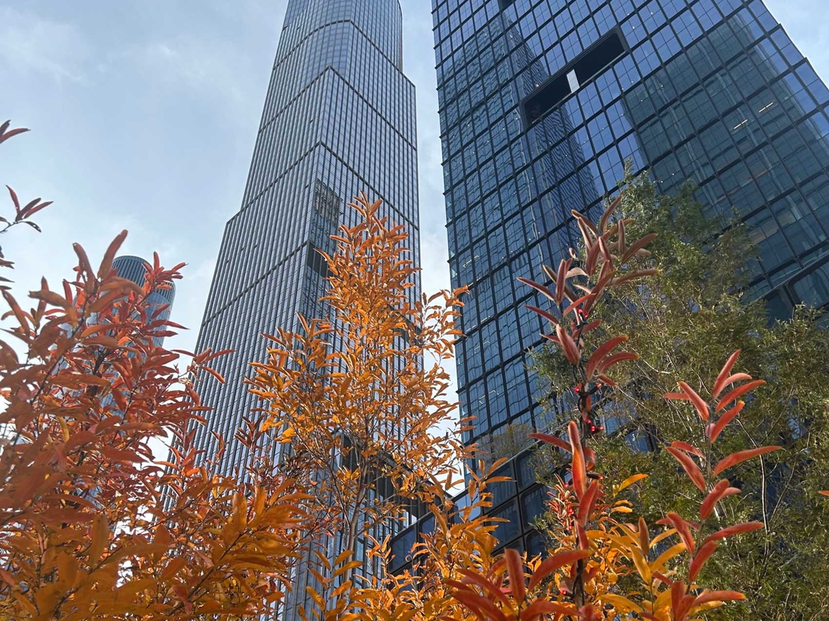 kacper michalik : 473