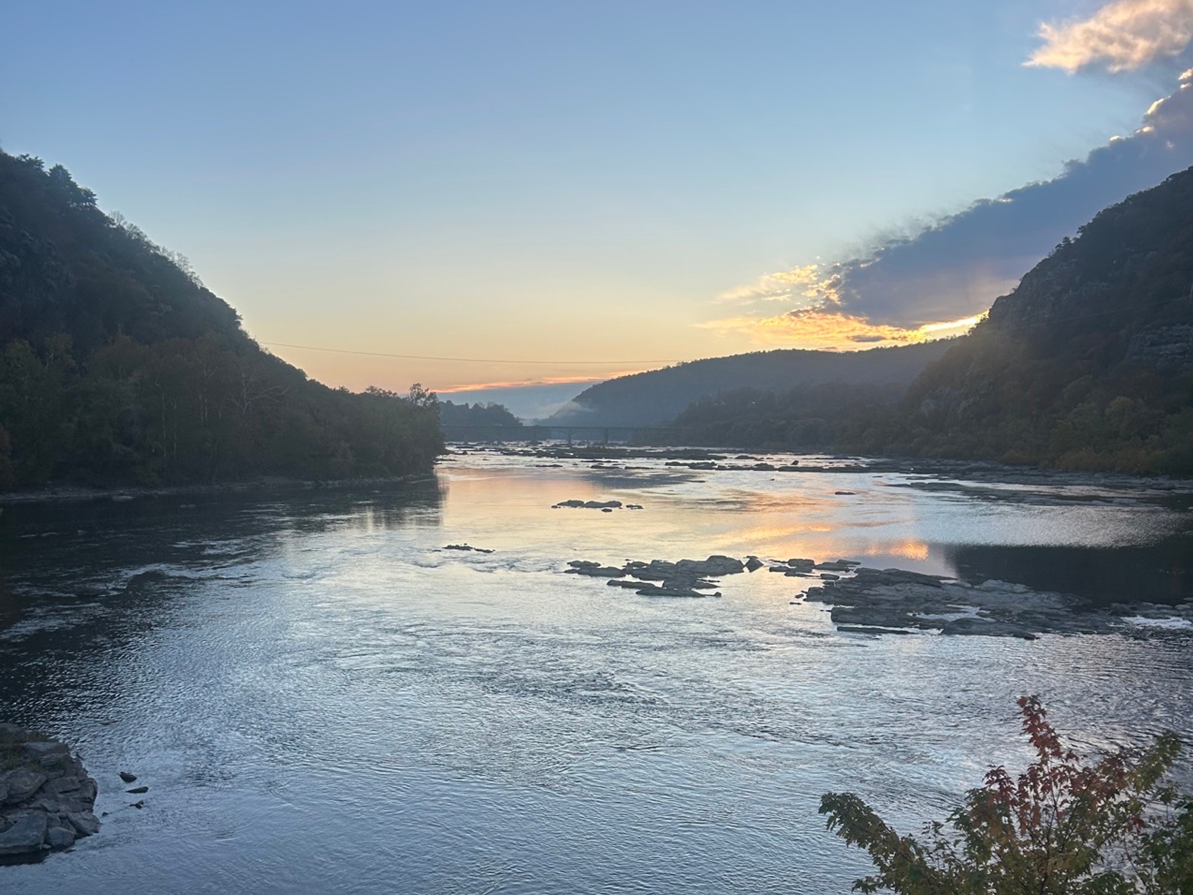 kacper michalik : 133