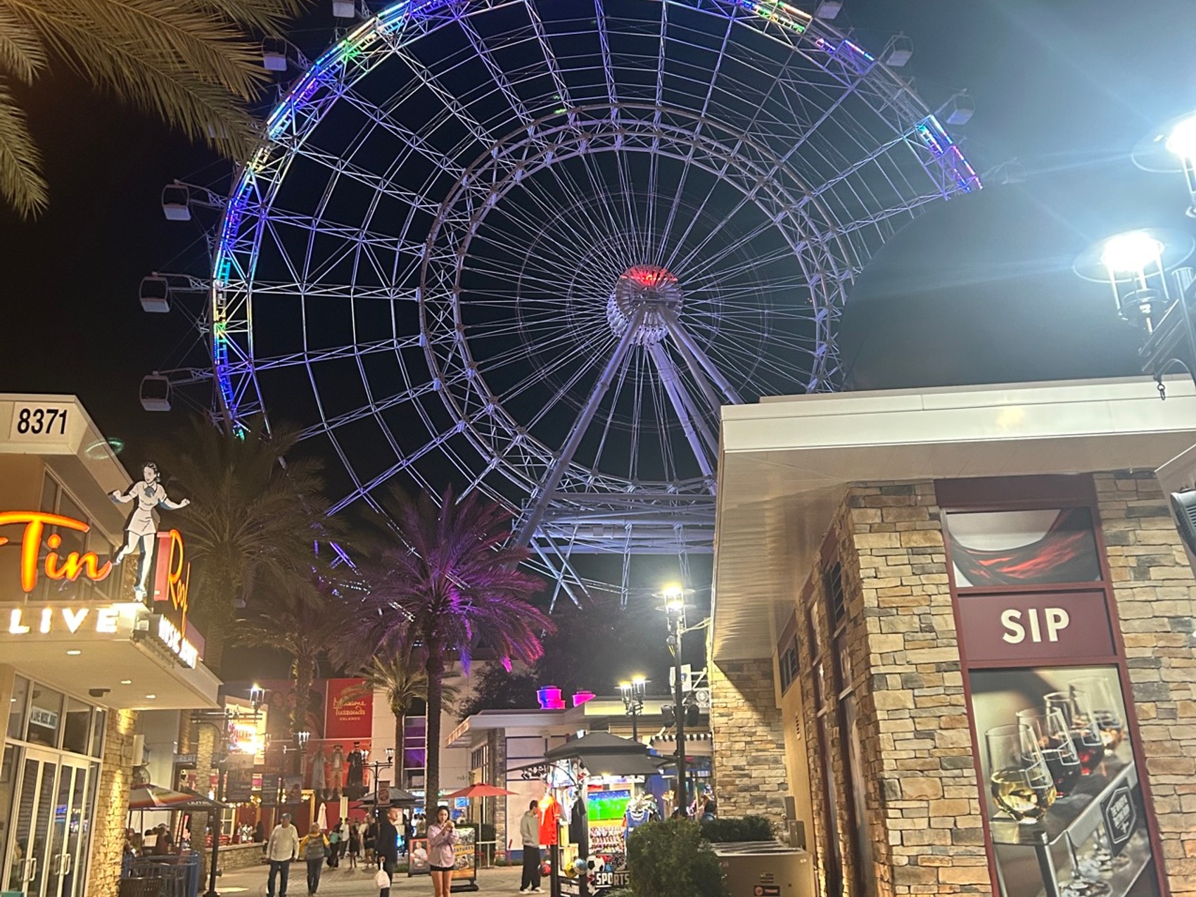 kacper michalik : 246