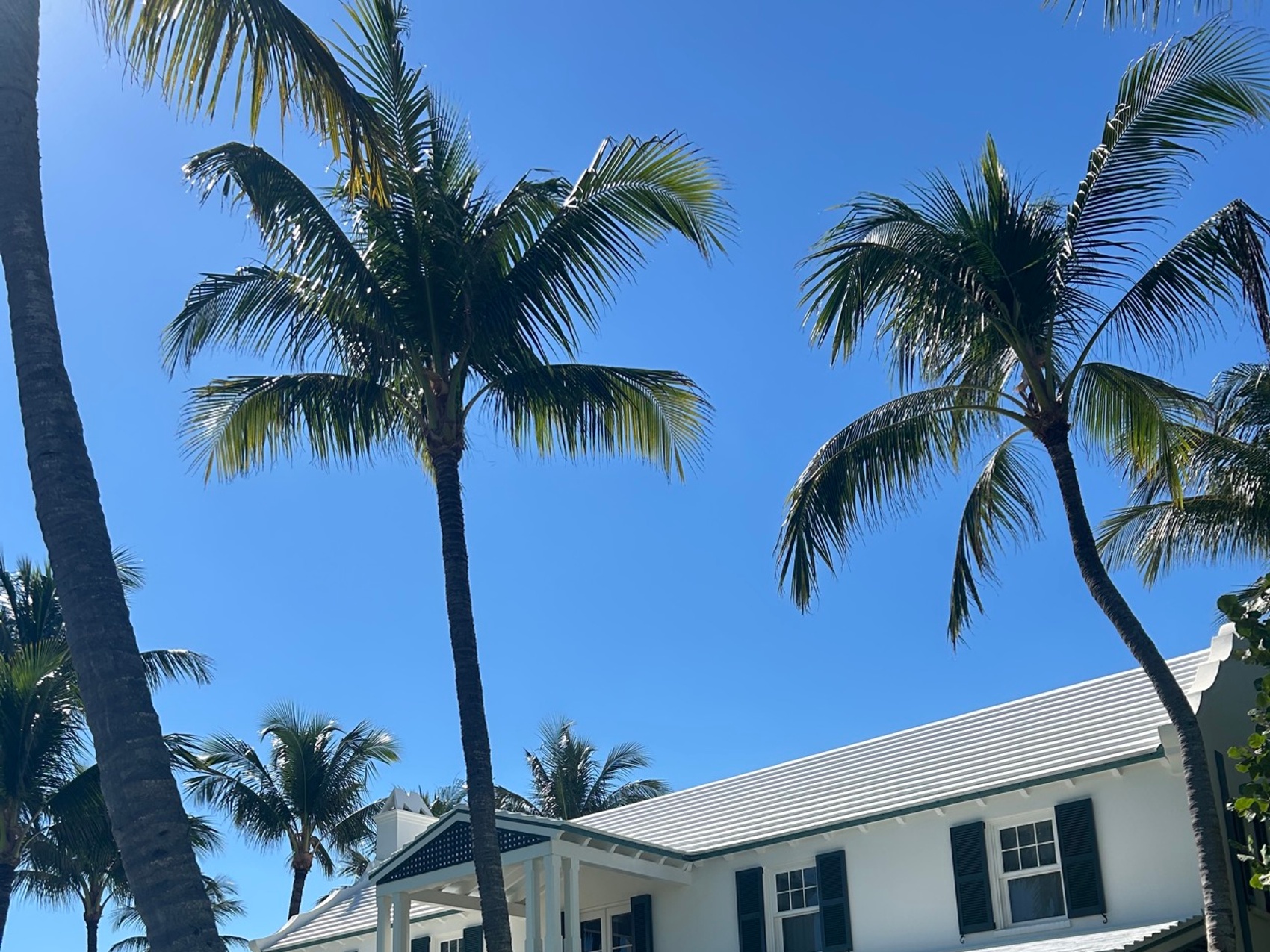 kacper michalik : 286