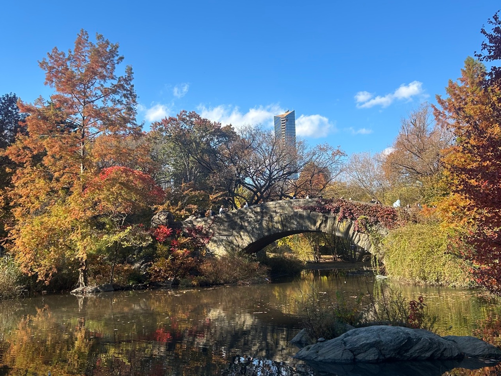 kacper michalik : 495