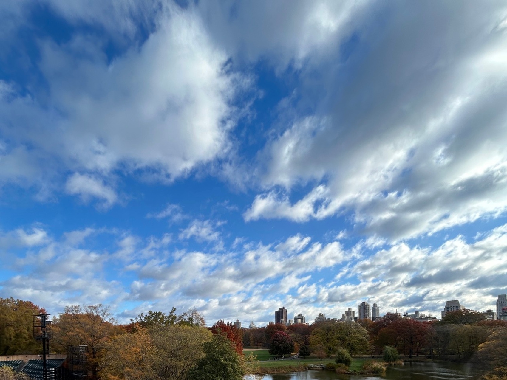 kacper michalik : 567