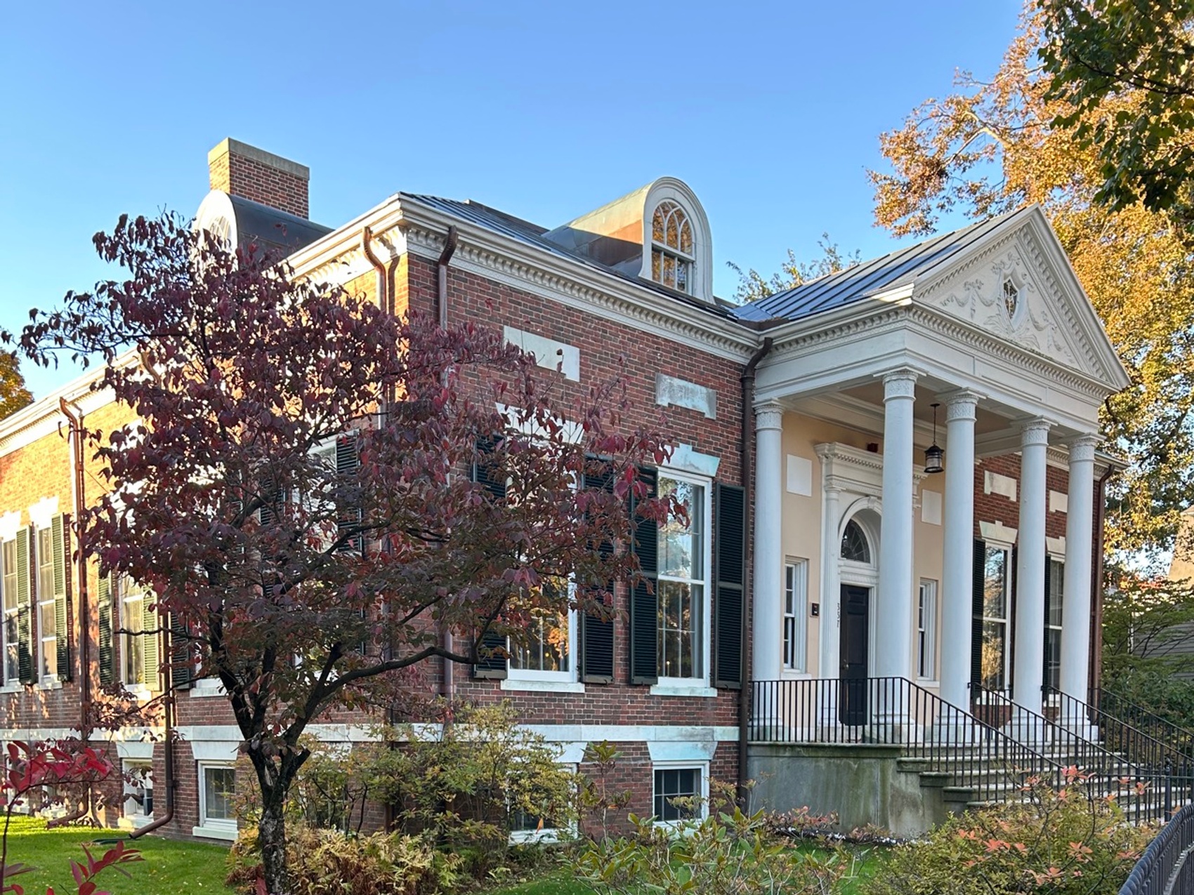 kacper michalik : 36