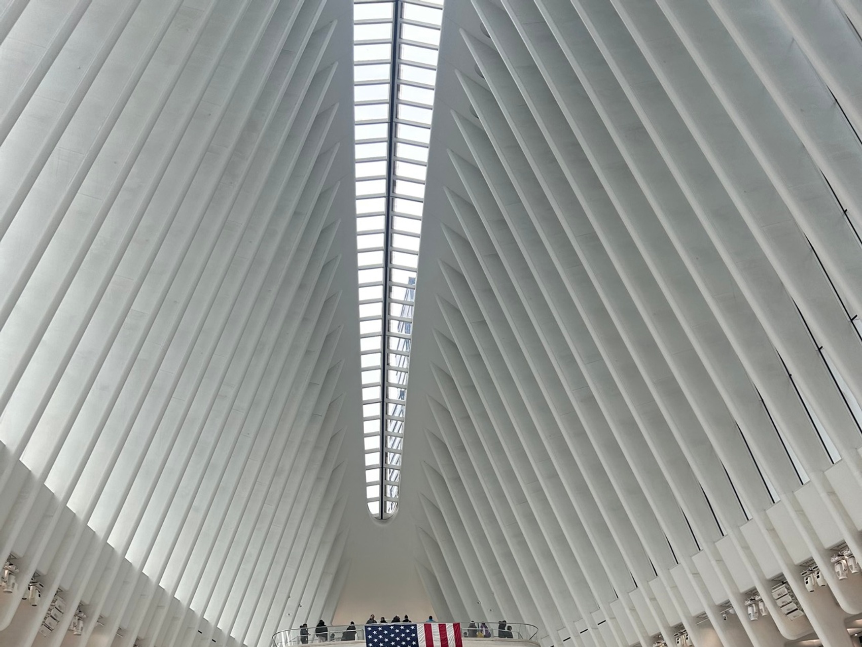 kacper michalik : 569