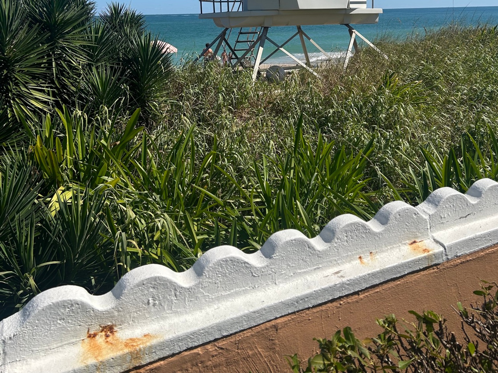 kacper michalik : 288